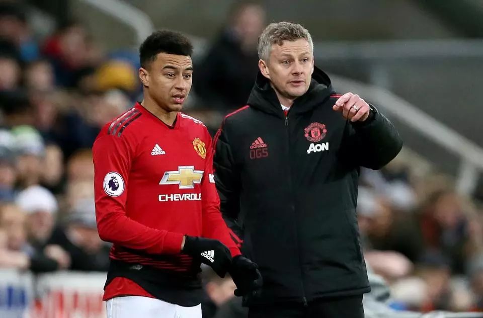 是篮球赛场 是篮球赛场